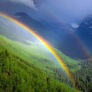 Read The Rainbow by D H Lawrence